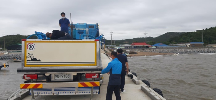 홍성군 대하 방류, 수산자원 회복과 어업인 소득 향상 기대